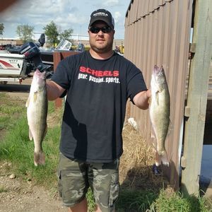 Meet your Posher, Chad